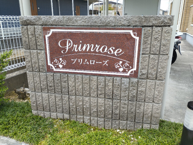 プリムローズのその他