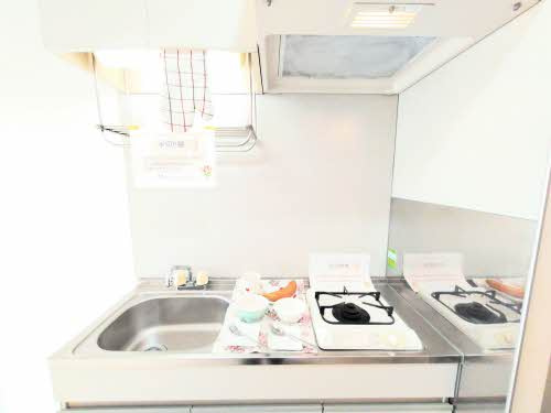 メゾングレイスの洗面所