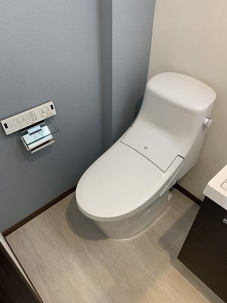 ピアコートＴＭ武蔵関壱番館のトイレ|トイレです