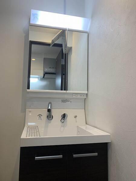 ピアコートＴＭ武蔵関壱番館の独立洗面台|洗面台です