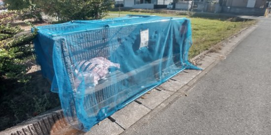 レオパレスＧＲＡＺＩＡのその他