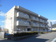 アンゲネーメ名高の画像