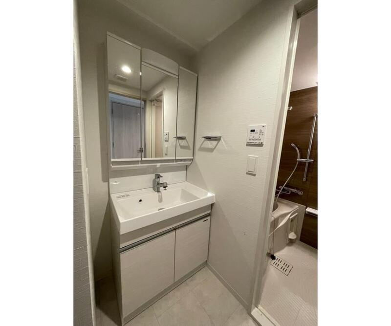 ラ・ピシーヌ南堀江の洗面所