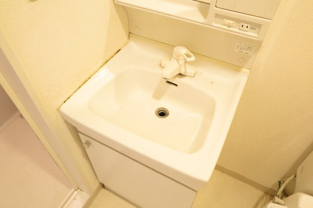 エステムプラザ難波ＷＥＳＴⅡプレディアの独立洗面台