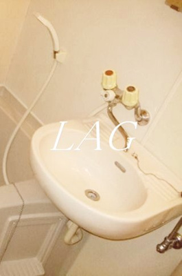 【洗面所】 | アムス小岩ＷＥＳＴ | 洗面台です。