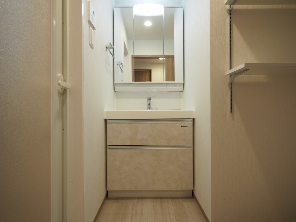 プレジオ西中島ASIANの洗面所