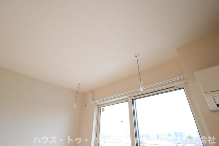 ベリーナのその他