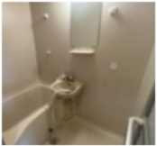 パークハイムIIの洗面所