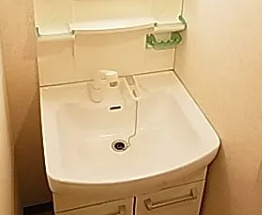 エクセレント東綾瀬の洗面所