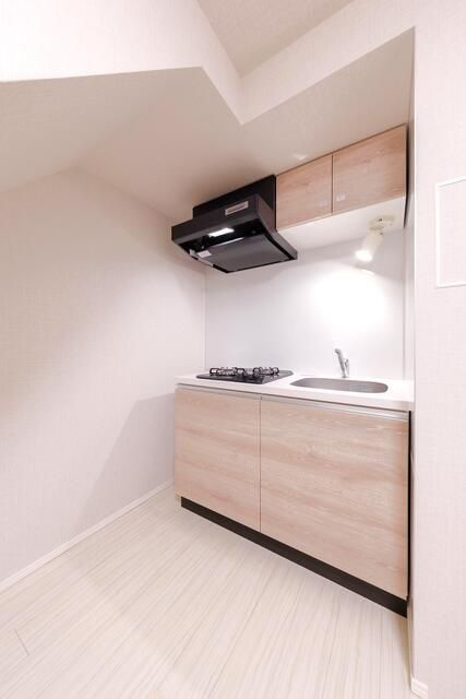 プレニーズ護国寺ＰＲＥＭＩＥＲのキッチン