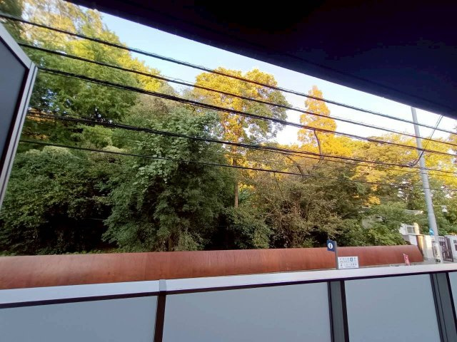 LEXE文京白山の展望|※別室参考写真です。