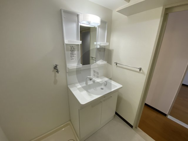 プルミエハイツ花園の独立洗面台