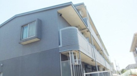 グレイスさつきの画像