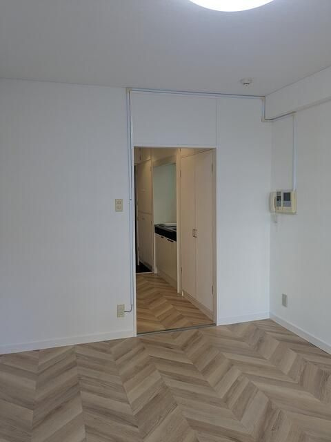 ライオンズマンション新宿東公園の内装