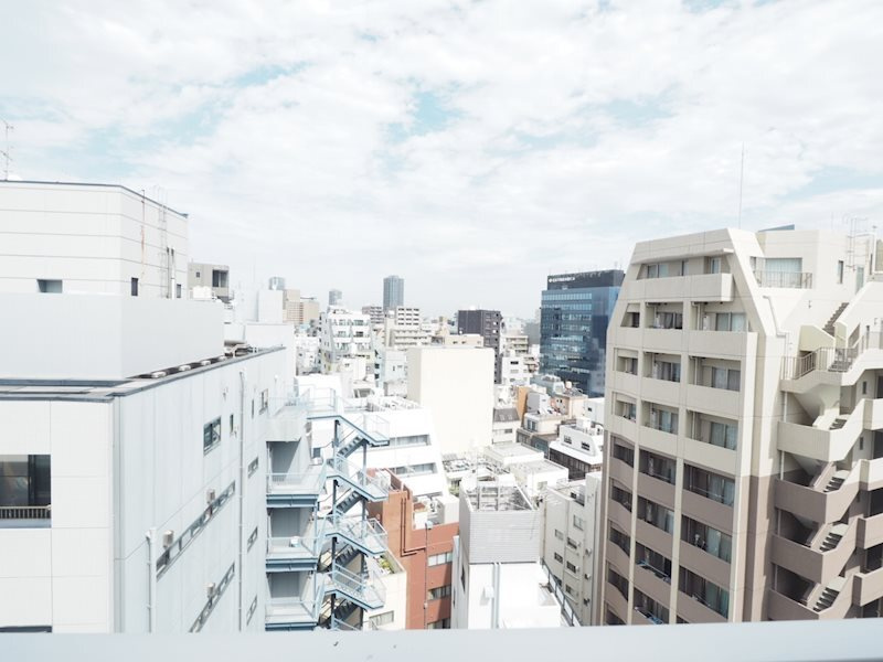 レジディア文京本郷Ⅲの展望|※別室参考写真です。