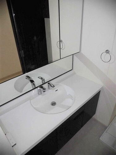 ファミール明大前の洗面所|洗面所　※前回募集時2022年9月撮影