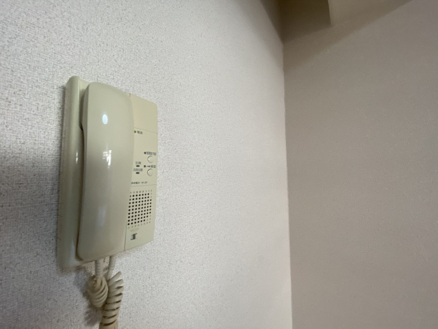 ファビュロウスSANKOのその他