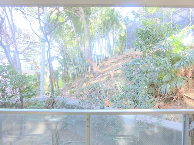 山王ガーデンハイツの展望