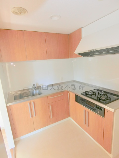 山王ガーデンハイツのキッチン|３口ガスグリル付システムキッチン