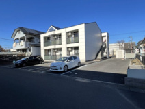 ストリーム桜の画像