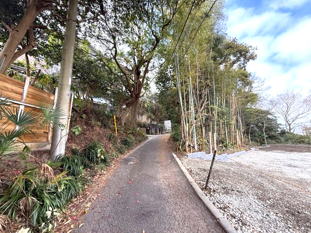 自然溢れる住環境　披露山公園至近の周辺|自然溢れる周辺