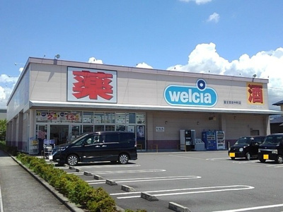 【周辺】 | フェニックス | ウエルシア　田中町店まで900m