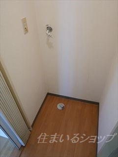 ノースウィングスのその他