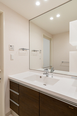 ガーデニエール砧レジデンスの洗面所