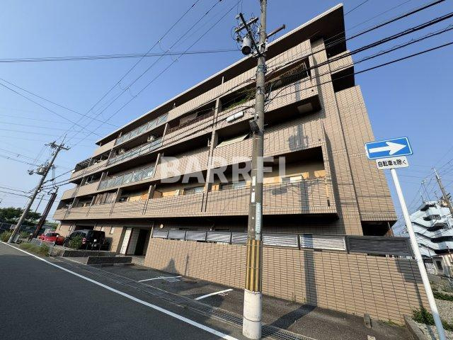 ドルフナガサワ