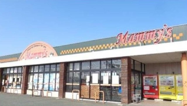 グレイス　カトレアの周辺|マミーズ大刀洗店まで1600m