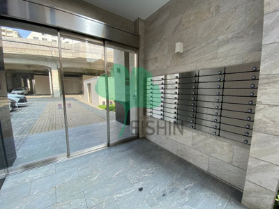  | ピュアコットン矢部与