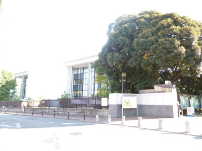 東海大学まで500m