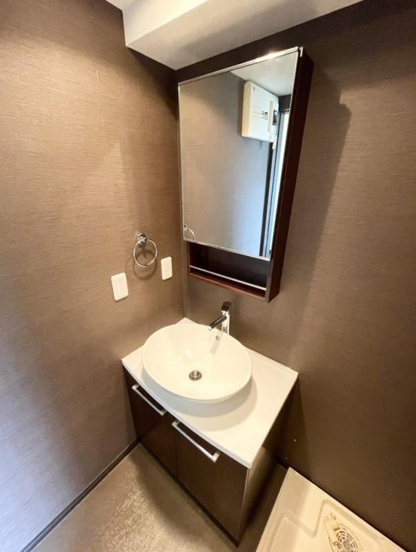 Ｖｅｇａ新富の洗面所