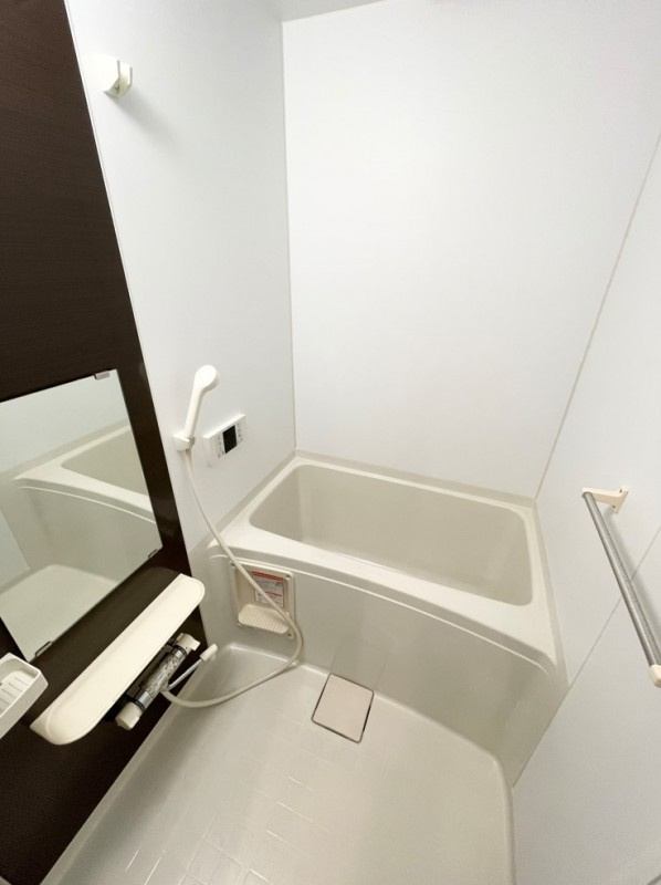 Ｖｅｇａ新富の浴室