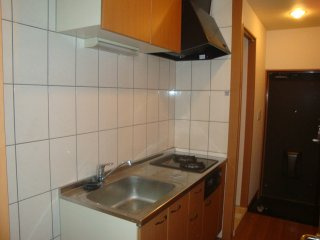 グランチェスタのキッチン|システムキッチン