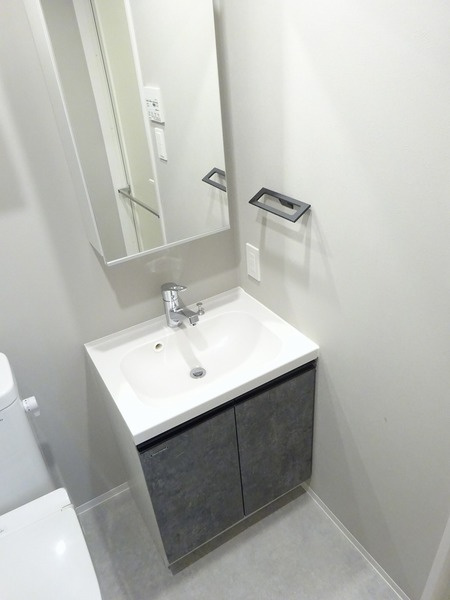 アイルイムーブル亀戸の洗面所