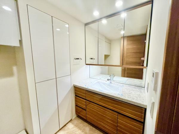 【独立洗面台】 | ドレッセWISEたまプラーザB棟