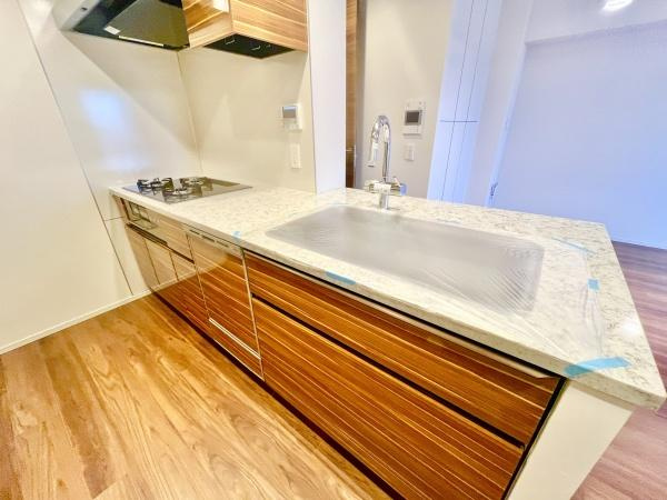 ドレッセWISEたまプラーザB棟のキッチン