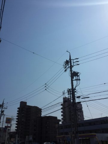 クレディア２１の展望