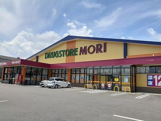 グランデ・ソーレ　Ｋの周辺|ドラッグストアモリ日知屋店まで1100m