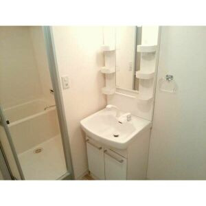 ベルニシキS棟の洗面所