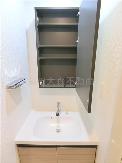 クレイシアIDZ(アイズ)蒲田の洗面所|洗面台裏に収納有