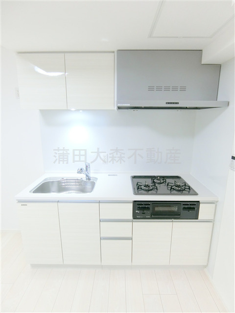 アーバンパーク蒲田南Ⅱのキッチン|3口ガスグリル付システムキッチン