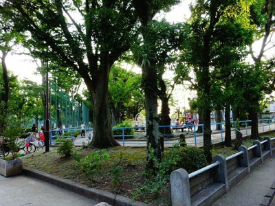 【ロビー】 | パインハイム | 羽根木こども園まで221m