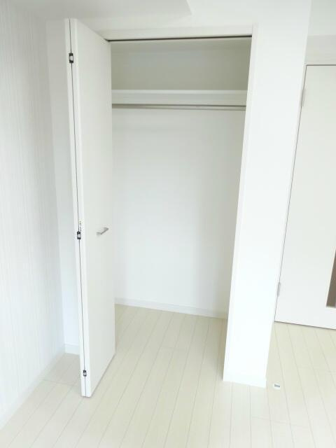 ディアレイシャス成増の収納|空間をスッキリ保つのに十分なスペースになります