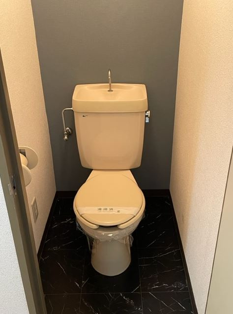 ラヴィアン21のトイレ|トイレです