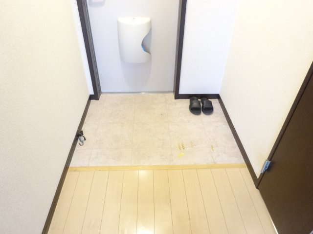 フローラ河内長野の玄関|同物件別部屋イメージ写真