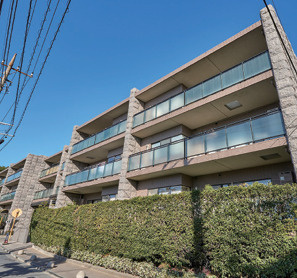 アデニウム大森山王