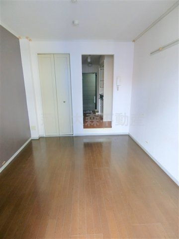 ドルフ武蔵新田　のその他|洋室