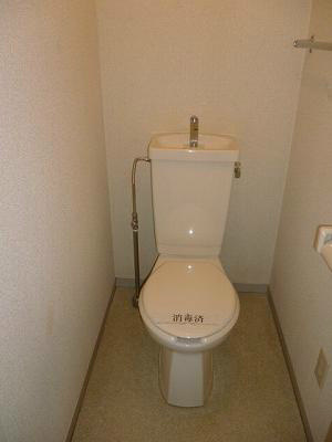 ドルフ武蔵新田　のトイレ